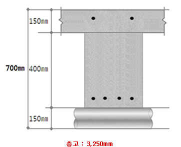 150mm, 400mm, 150mm, 총 700mm, 층고: 3,250mm